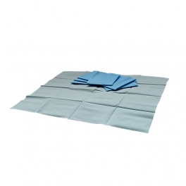 Rouška krycí Hospidrape 38x45cm nesterilní Rouška krycí Hospidrape 38x45cm nesterilní